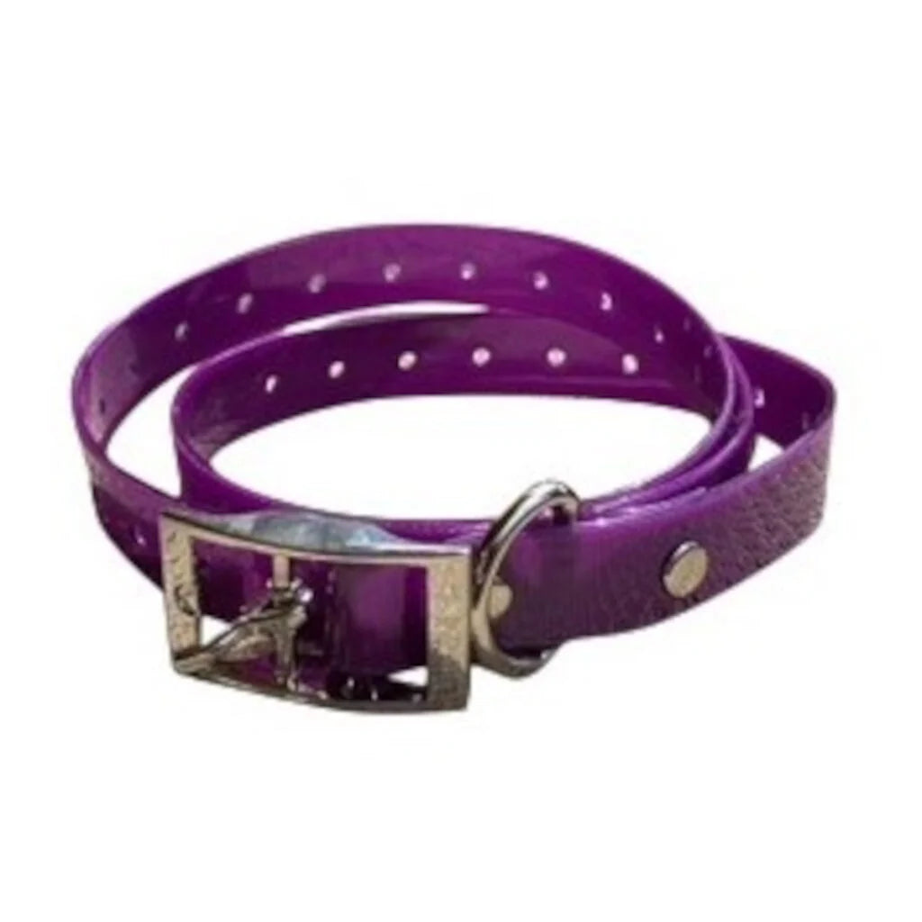 Dog Collar 18mm TPU - - Mansfield Hunting & Fishing - Products to prepare for Corona Virus