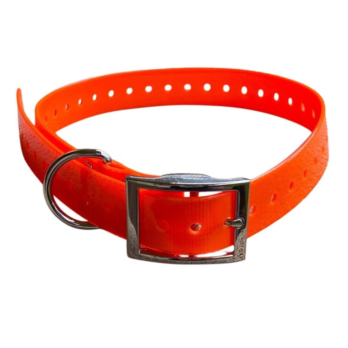Dog Collar- Orange - ORANGE - Mansfield Hunting & Fishing - Products to prepare for Corona Virus