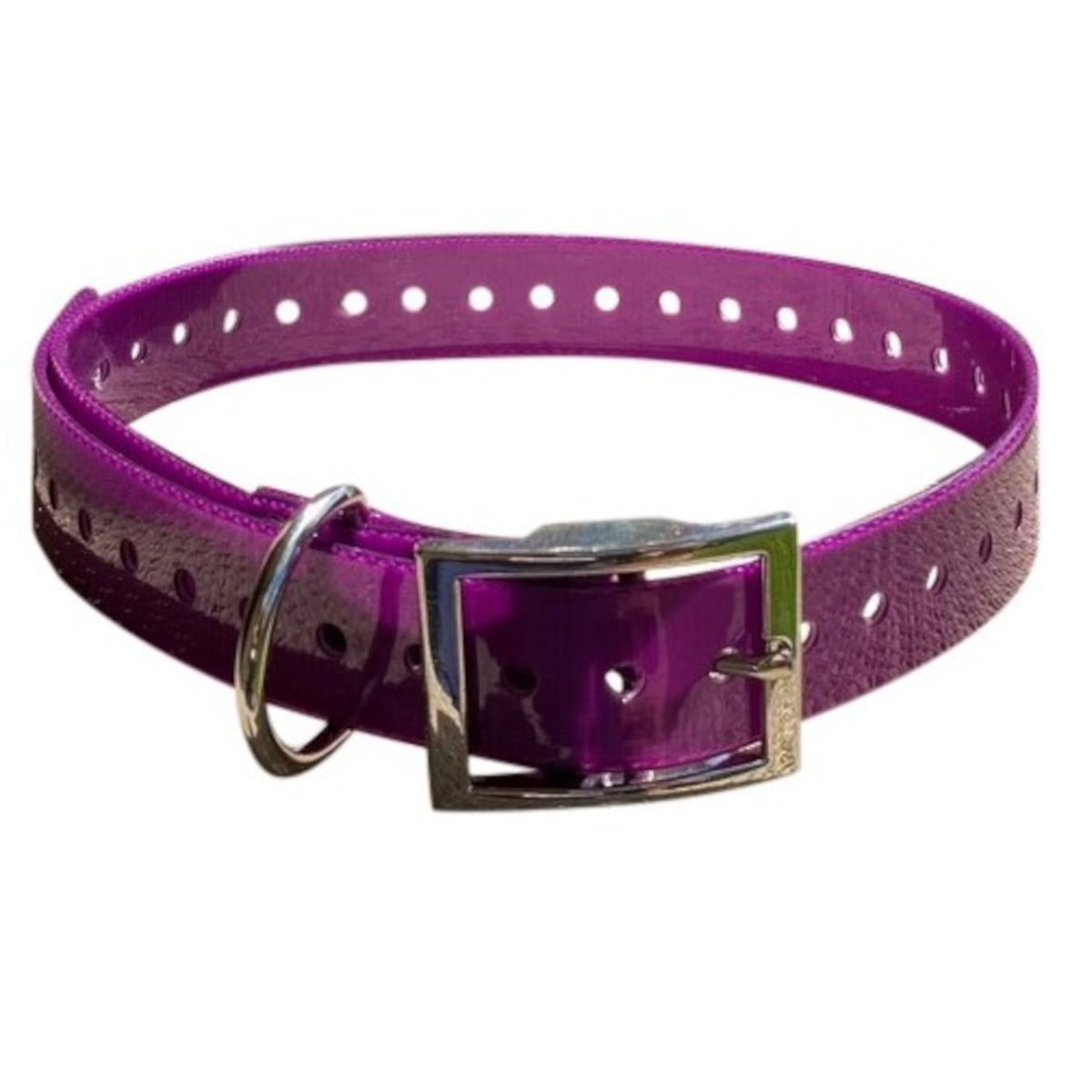 Dog Collar - PURPLE - Mansfield Hunting & Fishing - Products to prepare for Corona Virus