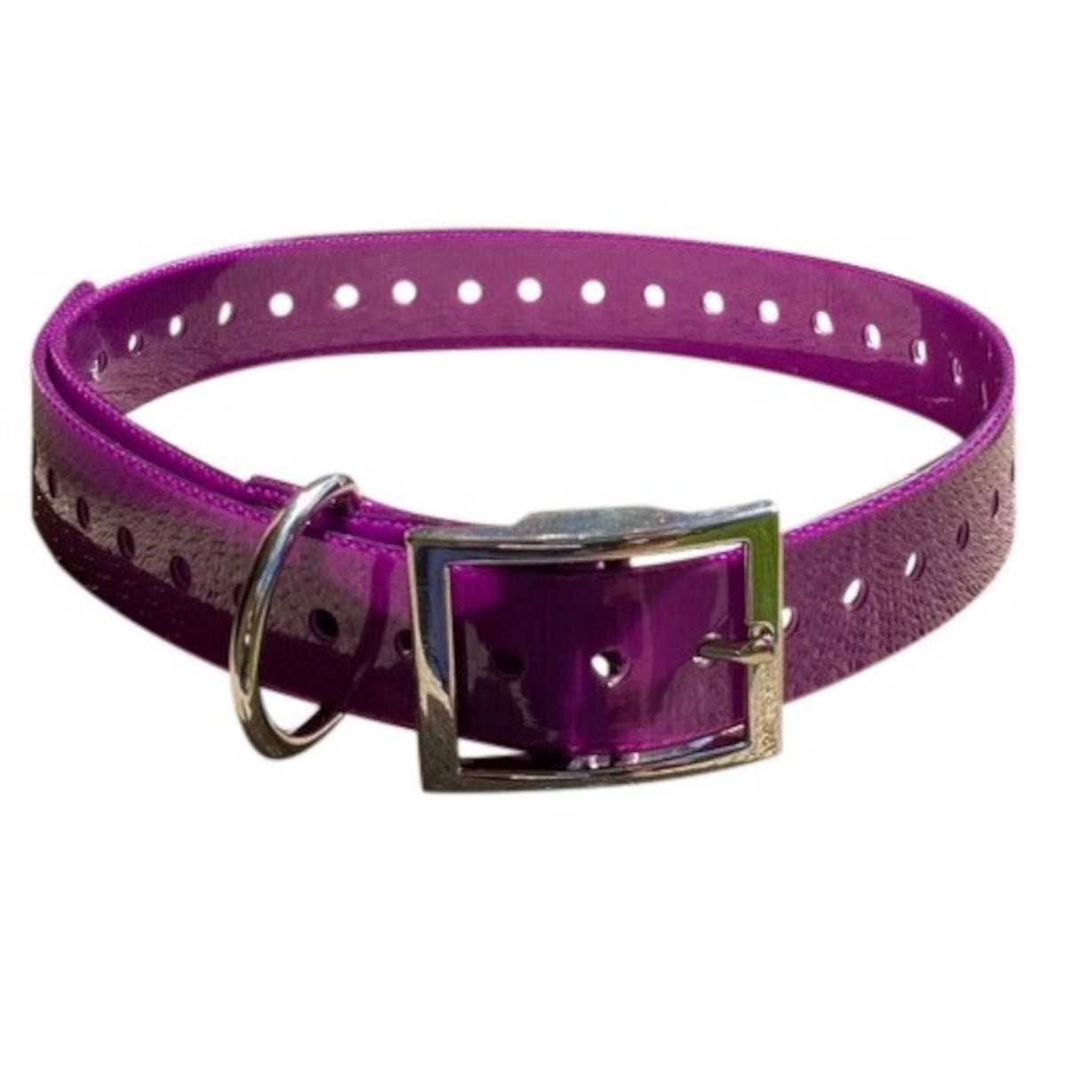 Dog Collar- Orange - PURPLE - Mansfield Hunting & Fishing - Products to prepare for Corona Virus