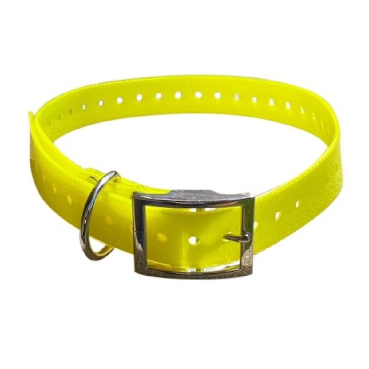 Dog Collar- Orange - YELLOW - Mansfield Hunting & Fishing - Products to prepare for Corona Virus