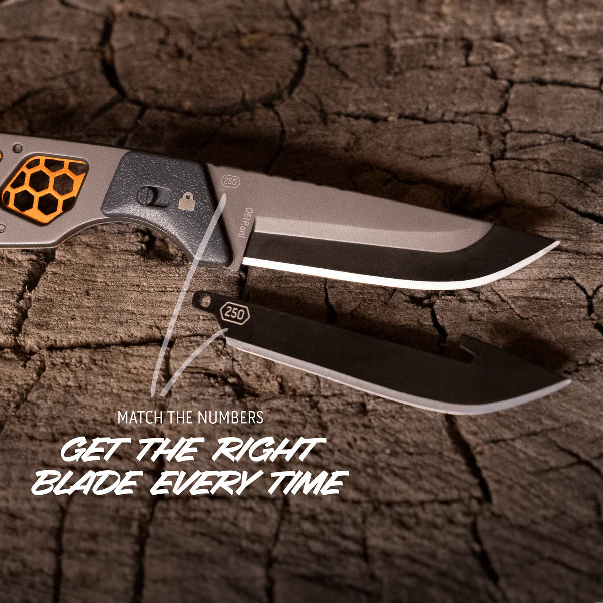 Outdoor Edge Razor APX 2.5" Titanium Coated Frame - - Mansfield Hunting & Fishing - Products to prepare for Corona Virus