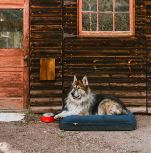 Yeti Dog Bed - - Mansfield Hunting & Fishing - Products to prepare for Corona Virus