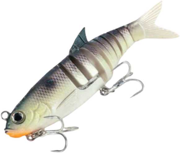 Molix Swim Shad 180mm Swimbait - BLUE BACK HERRING - Mansfield Hunting & Fishing - Products to prepare for Corona Virus