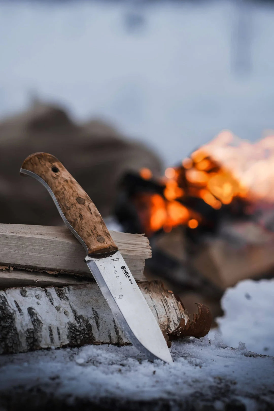 Helle Nord Sleipner - (Curly Birch Handle w/ Vulcanized Fibres) - - Mansfield Hunting & Fishing - Products to prepare for Corona Virus