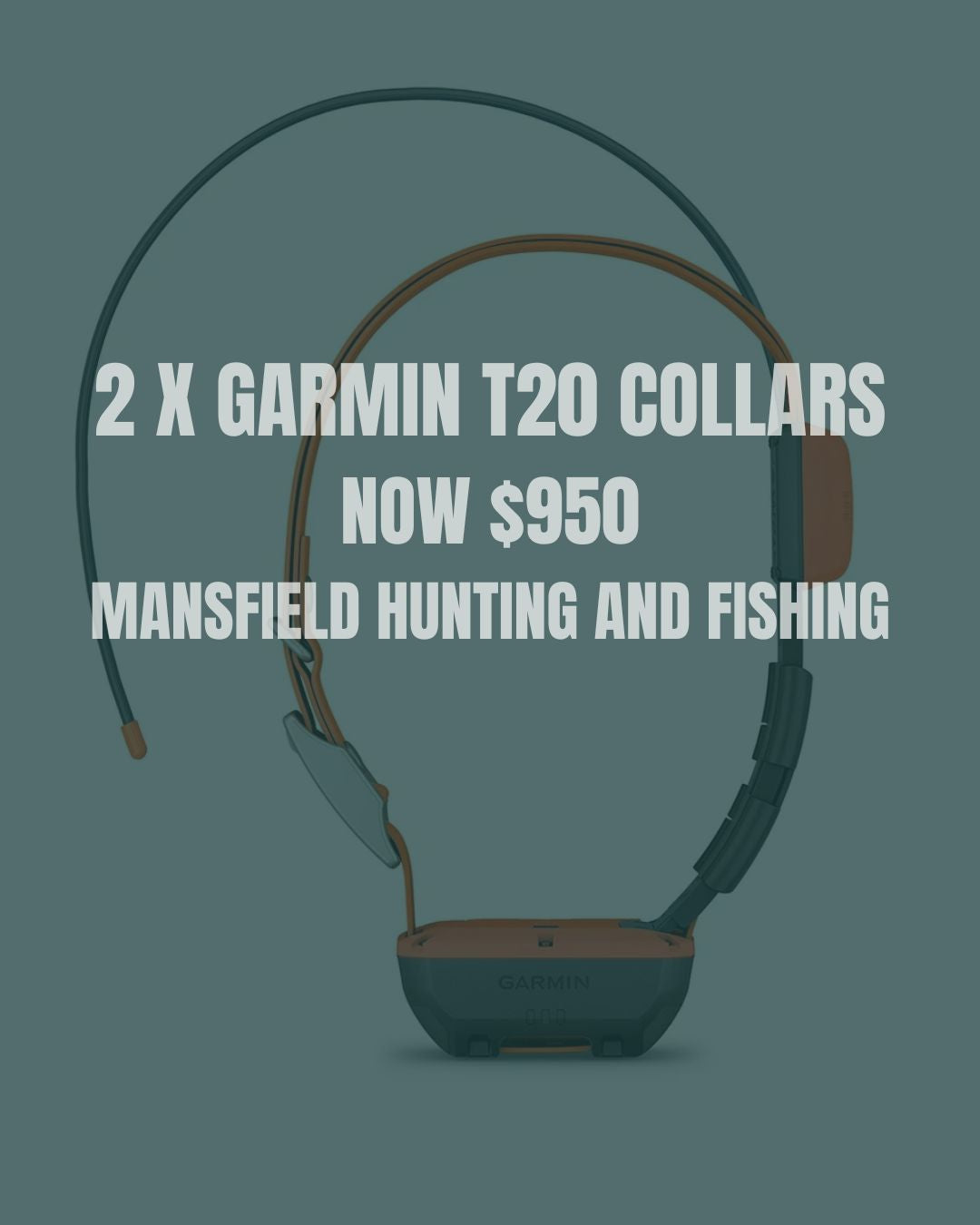 Garmin T20 Collar Package - - Mansfield Hunting & Fishing - Products to prepare for Corona Virus