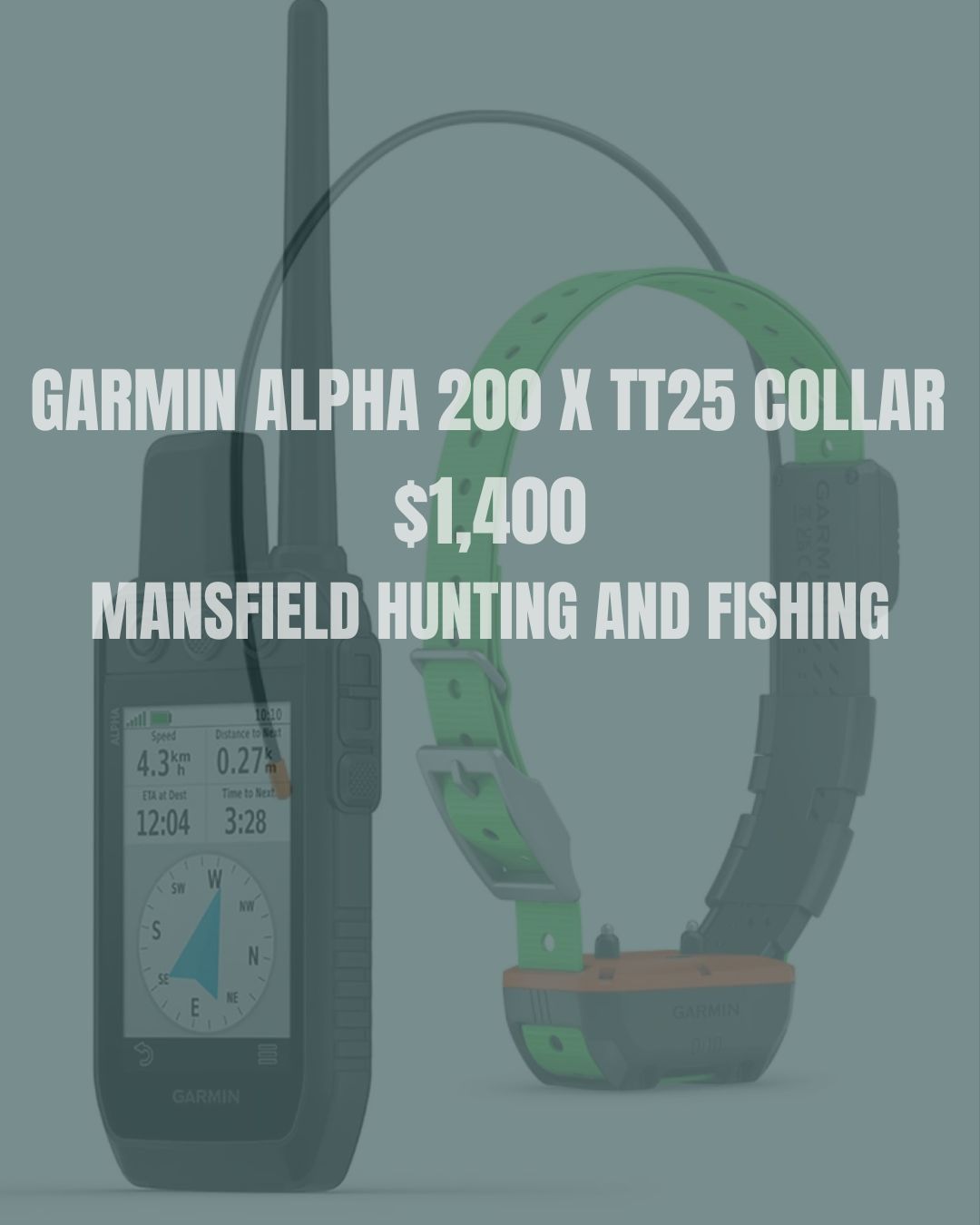 Garmin Package - Alpha 200 & TT25