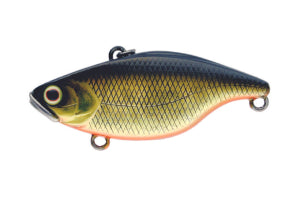 Jackall TN50 - HL GOLD BLACK - Mansfield Hunting & Fishing - Products to prepare for Corona Virus
