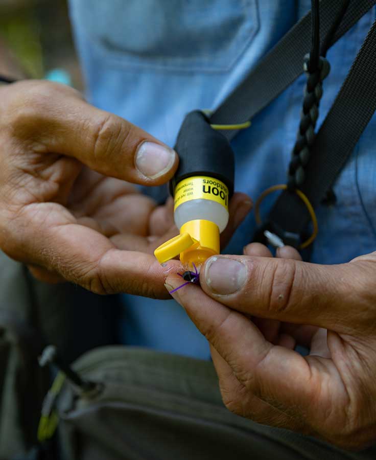 Loon Silicone Small Caddy -  - Mansfield Hunting & Fishing - Products to prepare for Corona Virus