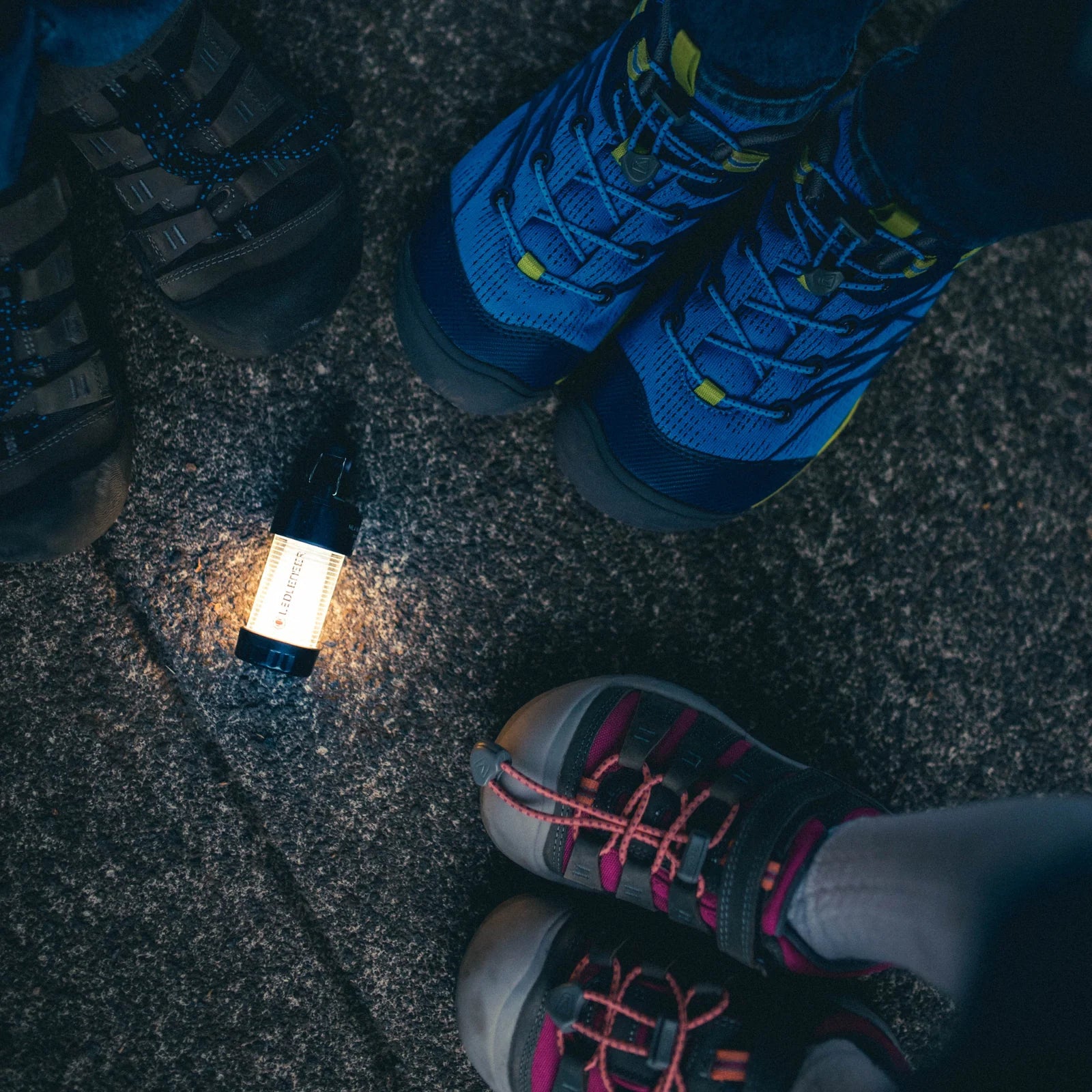 Ledlenser ML4 300lm Mini Lantern - - Mansfield Hunting & Fishing - Products to prepare for Corona Virus