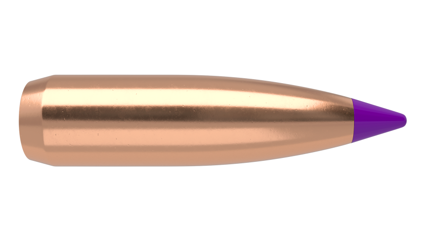 Nosler Ballistic Tip 6mm 80gr Varmint Projectiles - 100 pk -  - Mansfield Hunting & Fishing - Products to prepare for Corona Virus