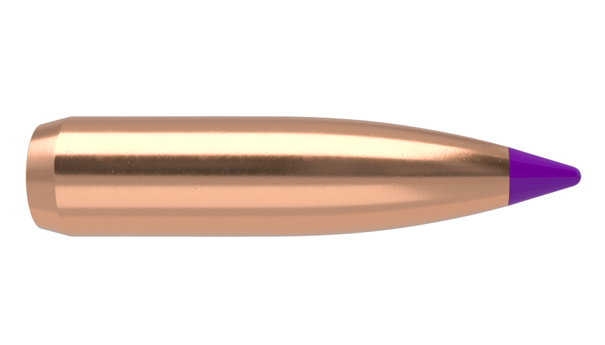 Nosler Ballistic Tip 6mm 90gr Hunting Projectiles - 50pk -  - Mansfield Hunting & Fishing - Products to prepare for Corona Virus