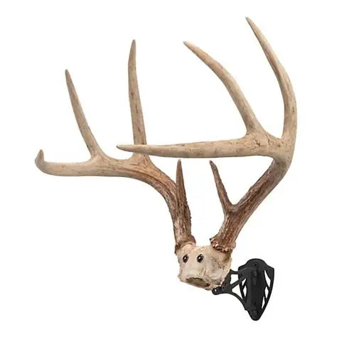 Allen EZ Mount Horn Bracket - Black