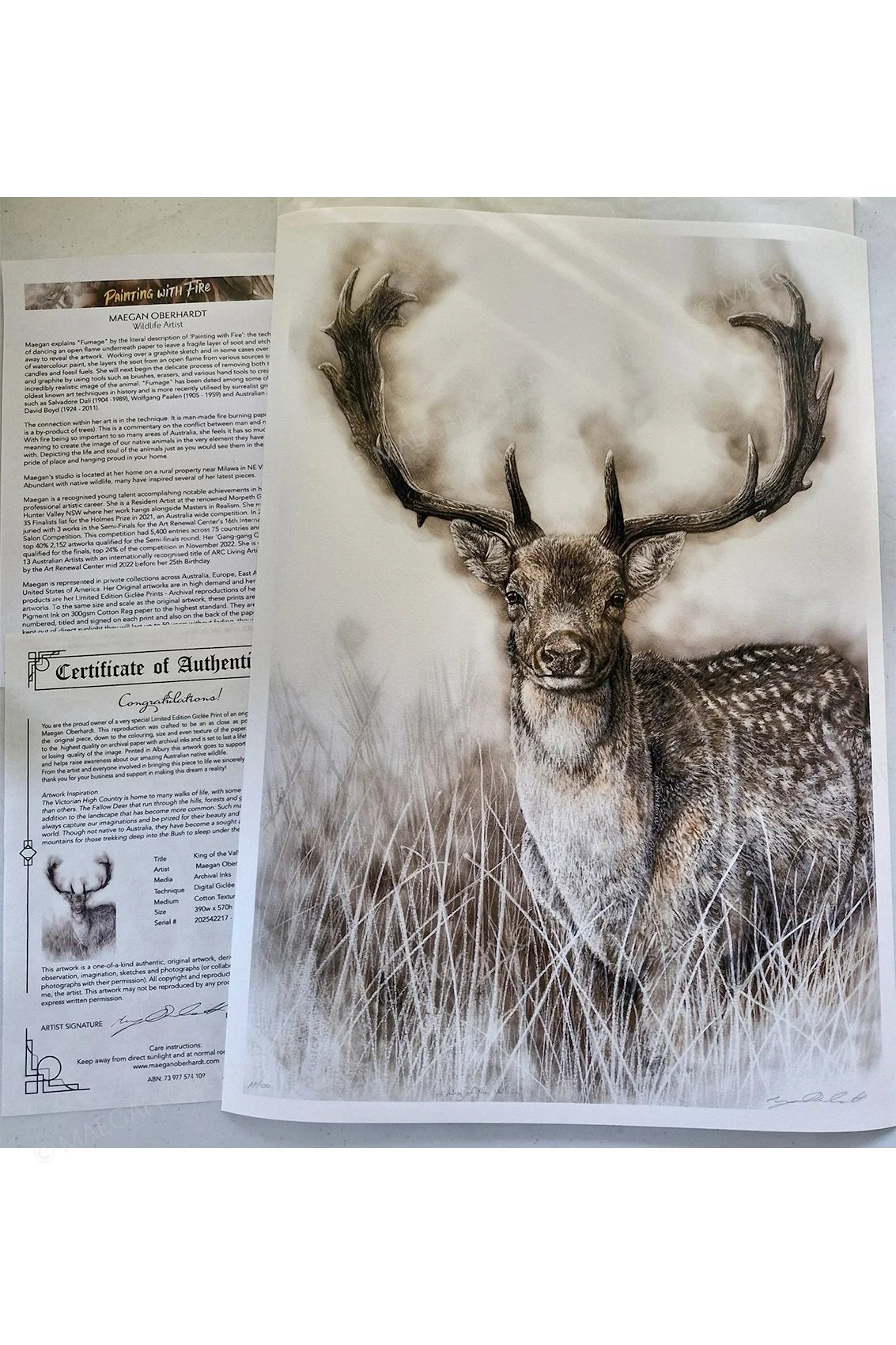 Maegan Oberhardt A3 Fallow Deer Print - Limited Edition