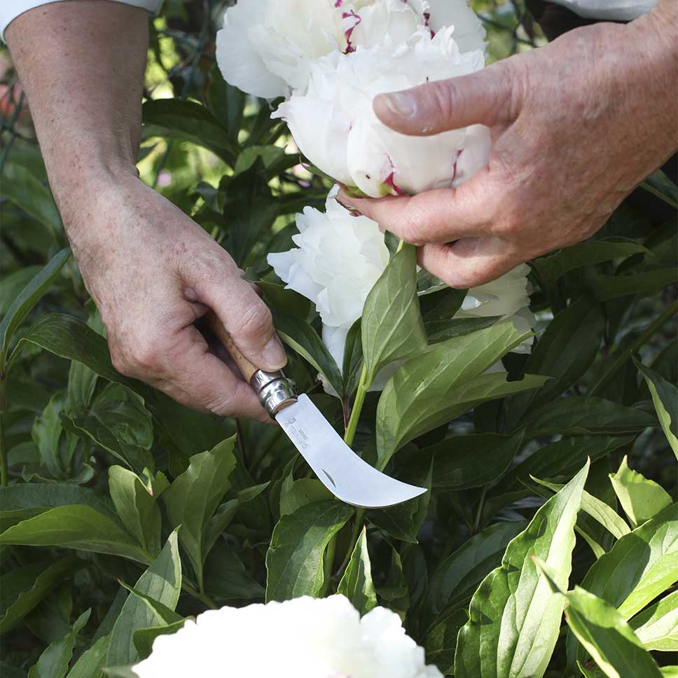 Opinel Pruning Knife No8 S/S