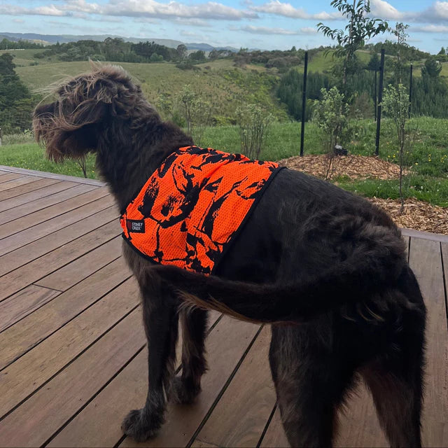 Stoney Creek Dog Vest - Blaze Orange - - Mansfield Hunting & Fishing - Products to prepare for Corona Virus