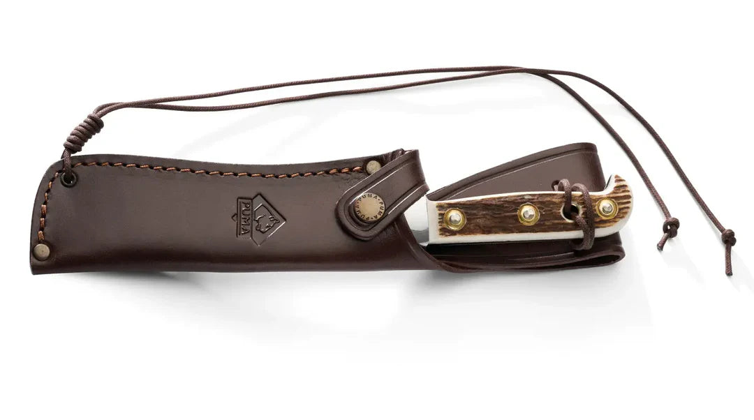 Puma White Hunter Hirschhorn Knife - - Mansfield Hunting & Fishing - Products to prepare for Corona Virus