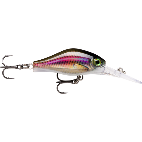 Rapala Shadow Rap Fat Jack SDRFJ 4 Cm – Crankbait Galleggiante Lento – Colore Live Roach