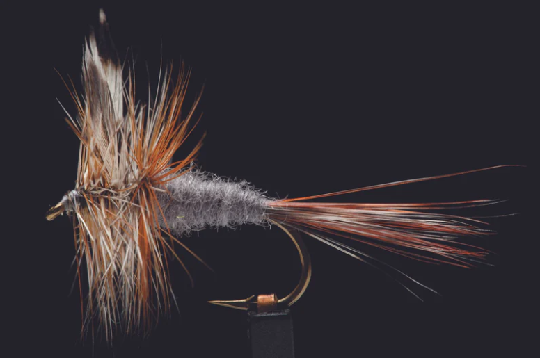 Manic Adams Dry Fly - - Mansfield Hunting & Fishing - Products to prepare for Corona Virus