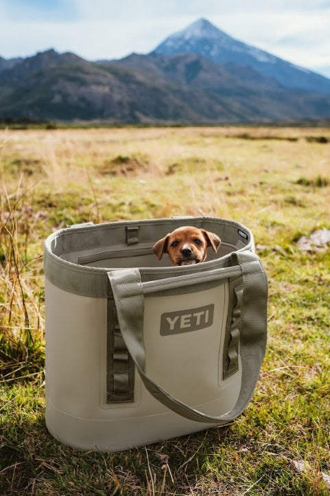 Yeti Camino 35 Carryall Bag - - Mansfield Hunting & Fishing - Products to prepare for Corona Virus