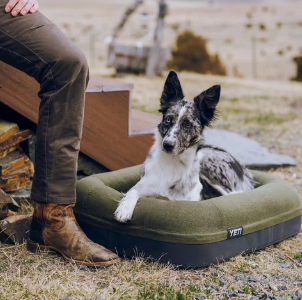 Yeti Dog Bed - - Mansfield Hunting & Fishing - Products to prepare for Corona Virus