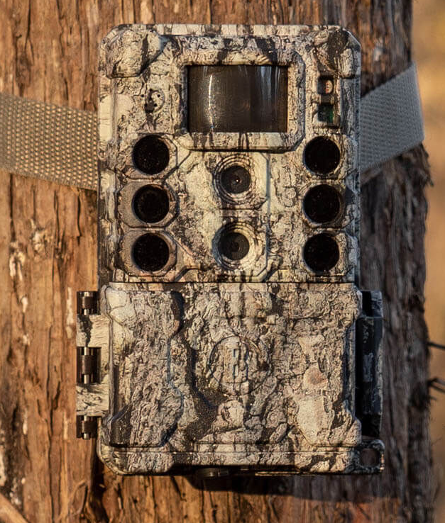 Bushnell Core DS-4K 32 MP Trail Camera -  - Mansfield Hunting & Fishing - Products to prepare for Corona Virus