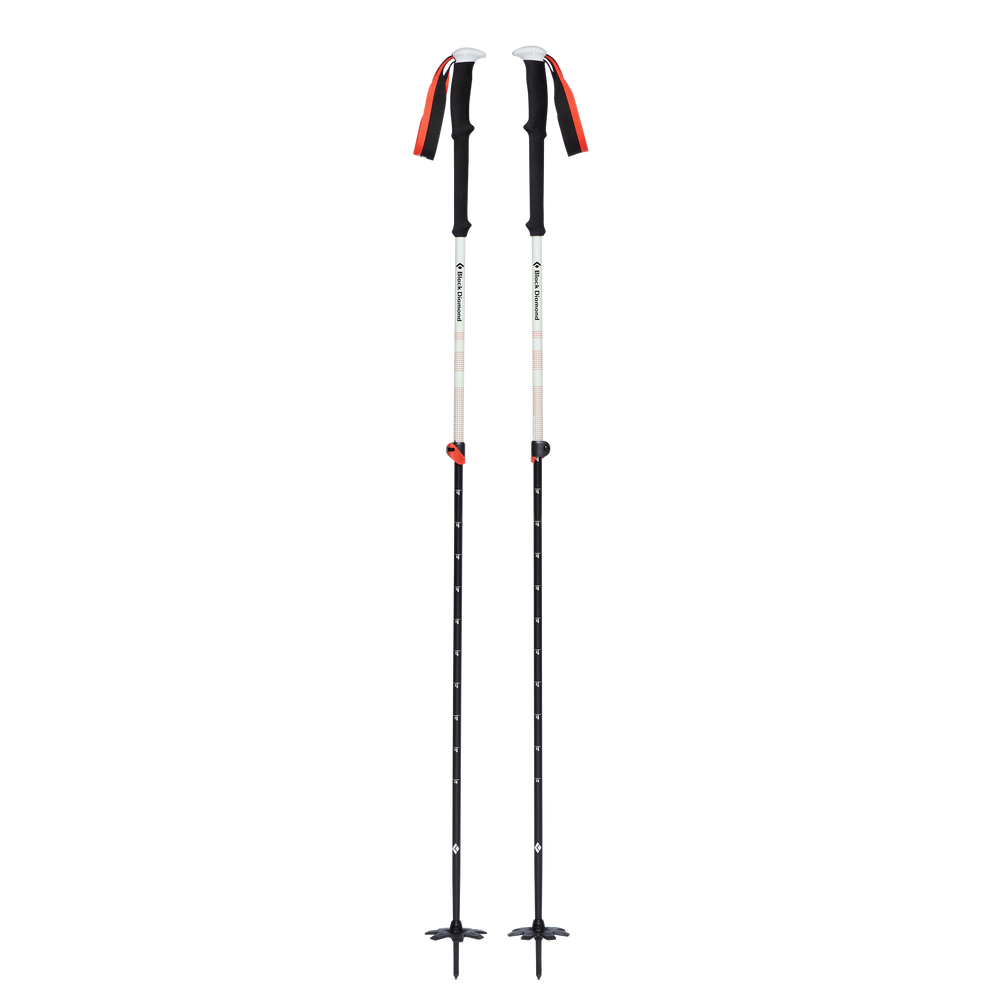 Black Diamond Expedition 2 F19 Hiking poles 155cm -  - Mansfield Hunting & Fishing - Products to prepare for Corona Virus