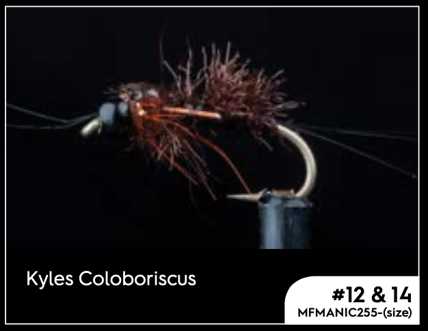 Manic Kyles Coloboriscus #14 -  - Mansfield Hunting & Fishing - Products to prepare for Corona Virus