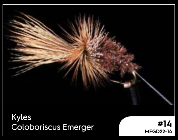 Manic Kyles Coloboriscus Emerger - #14 -  - Mansfield Hunting & Fishing - Products to prepare for Corona Virus