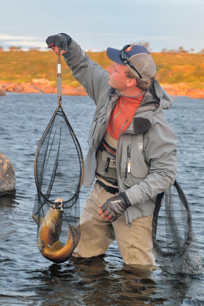 McLean Angling Micro Mesh Folding Spring Weigh Net -  - Mansfield Hunting & Fishing - Products to prepare for Corona Virus