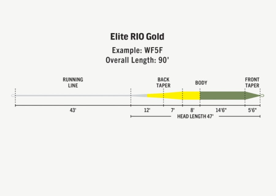 Rio Elite Gold Floating Fly Line -  - Mansfield Hunting & Fishing - Products to prepare for Corona Virus