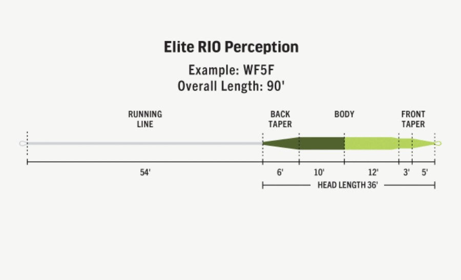 Rio Elite Perception Floating Fly Line -  - Mansfield Hunting & Fishing - Products to prepare for Corona Virus