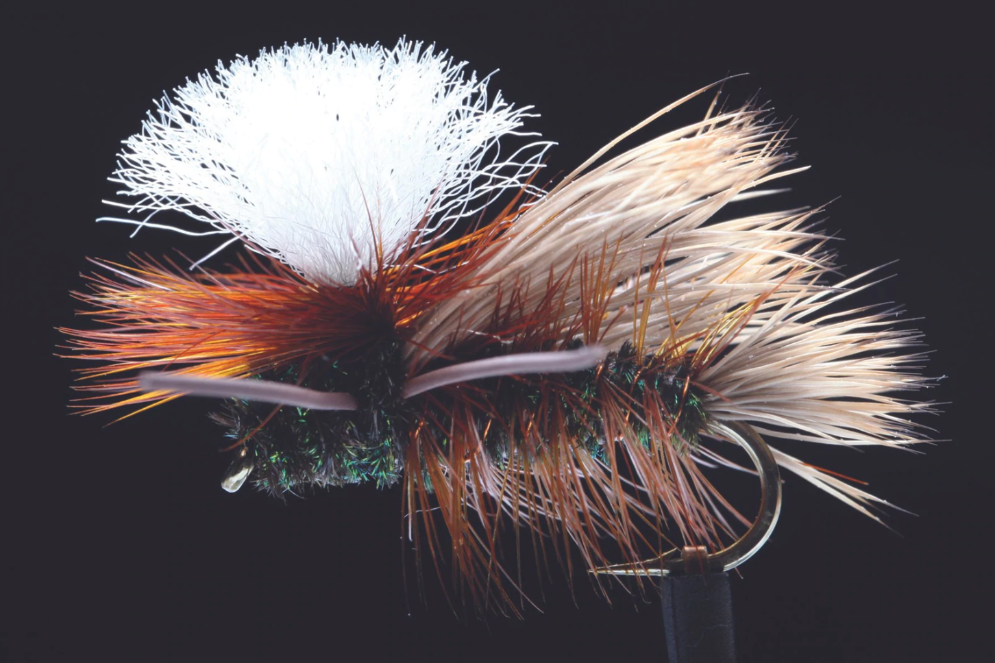 Manic Swishers Pmx Peacock -  - Mansfield Hunting & Fishing - Products to prepare for Corona Virus