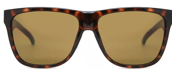 Smith Optics Lowdown XL 2 - Dark Havana -  - Mansfield Hunting & Fishing - Products to prepare for Corona Virus