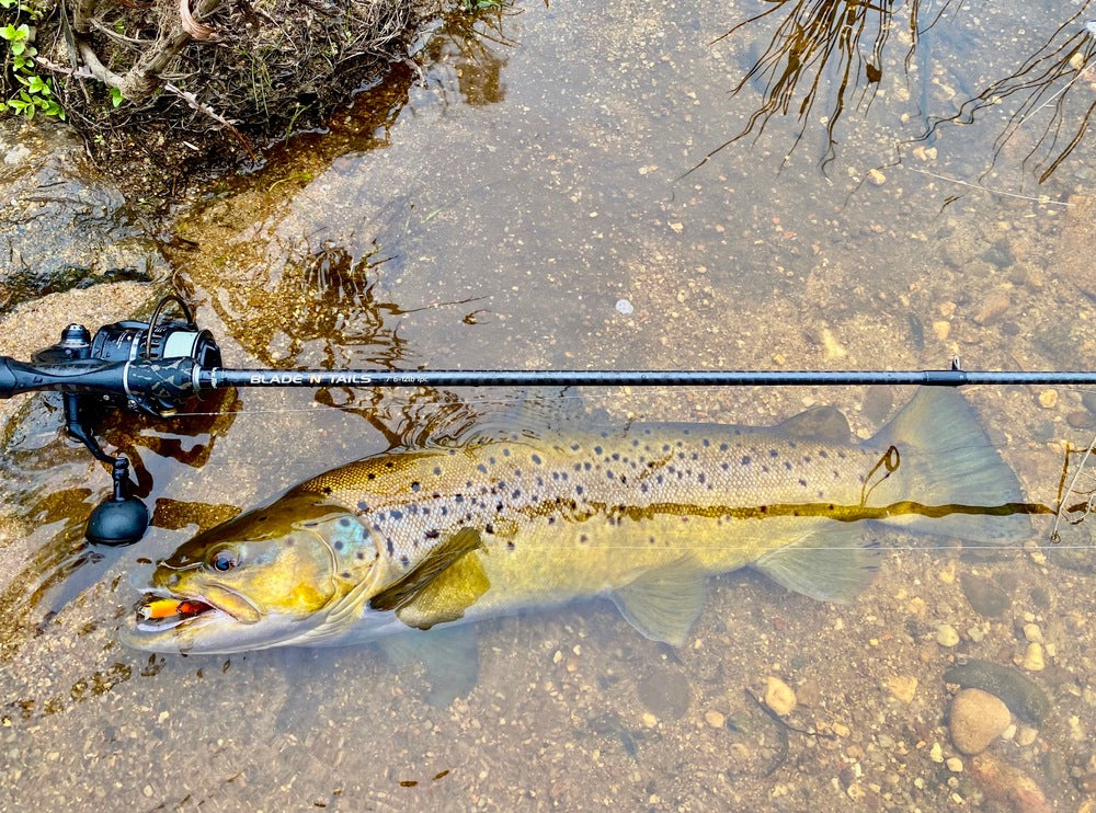 Live Fibre Blade N Tails Spin Rod
