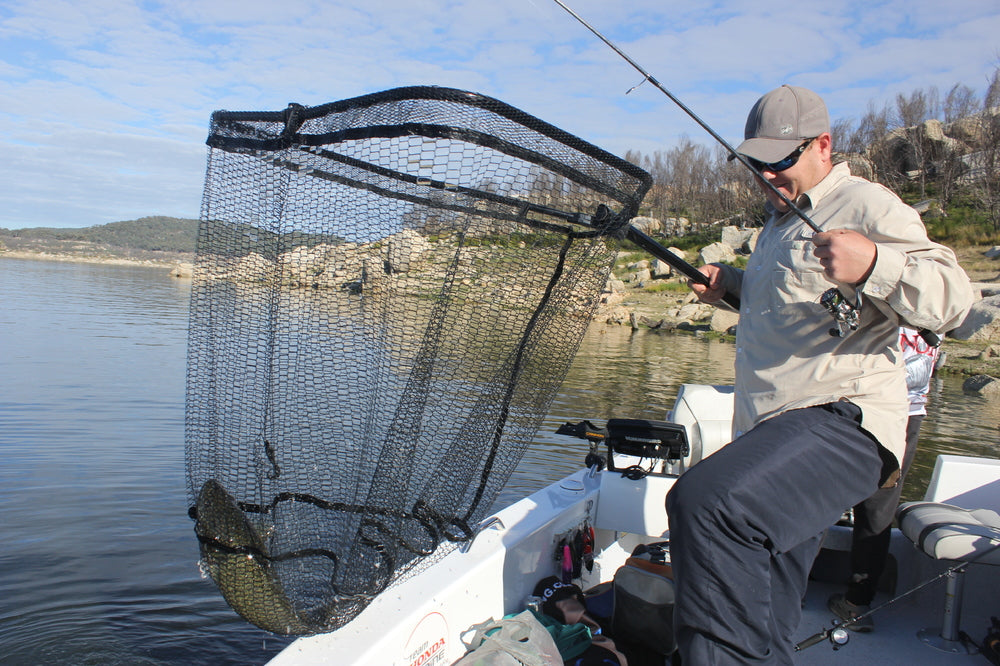 Wilson Folding Net - Medium -  - Mansfield Hunting & Fishing - Products to prepare for Corona Virus