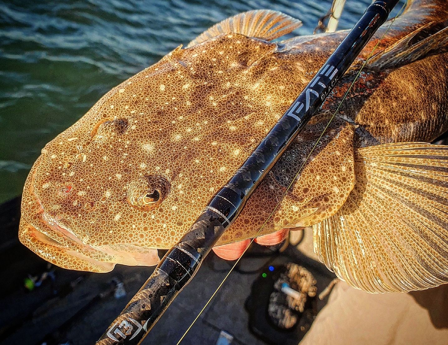 13 Fishing Fate Black - 7'0" H 14-25LB Cast Rod - 2pc -  - Mansfield Hunting & Fishing - Products to prepare for Corona Virus