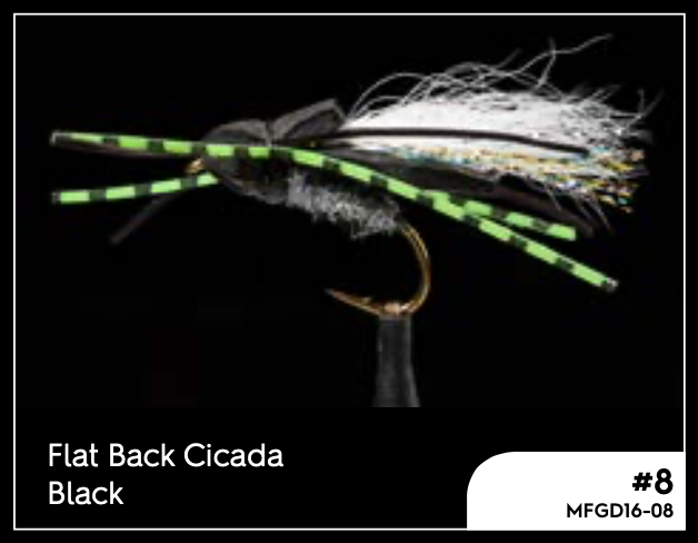 Manic Flat Back Cicada - #6 -  - Mansfield Hunting & Fishing - Products to prepare for Corona Virus