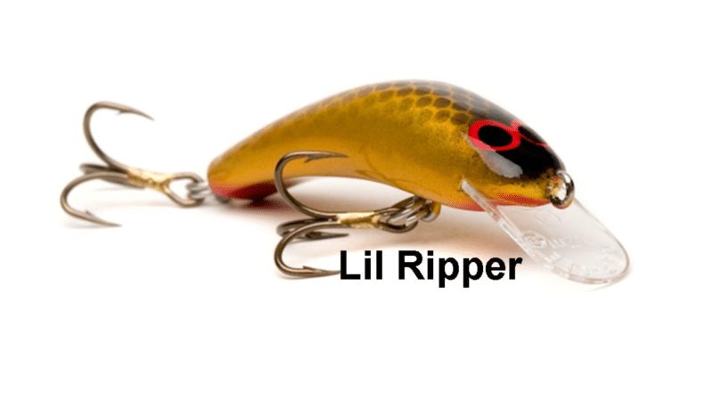 Oar-Gee Lil Ripper