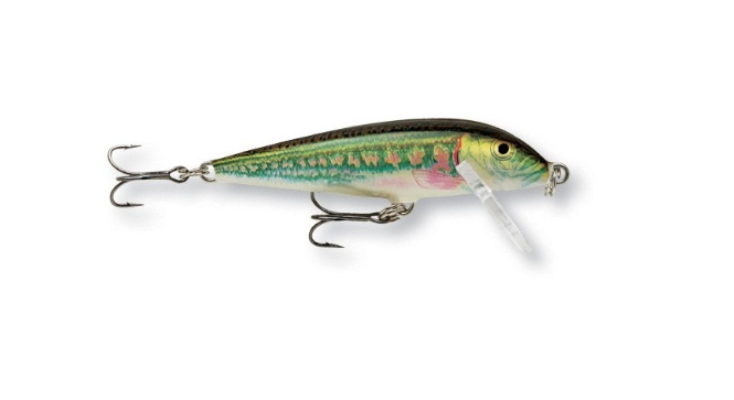 Rapala Countdown CD05 - 5CM / MN - Mansfield Hunting & Fishing - Products to prepare for Corona Virus